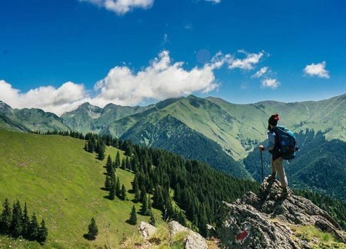 Paragliding In Bir-Billing